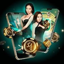 nk8801